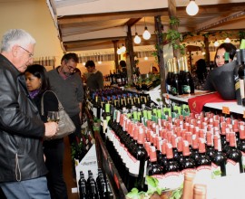 I Feira de Vinhos Sonda São Paulo - SP - Ago/11